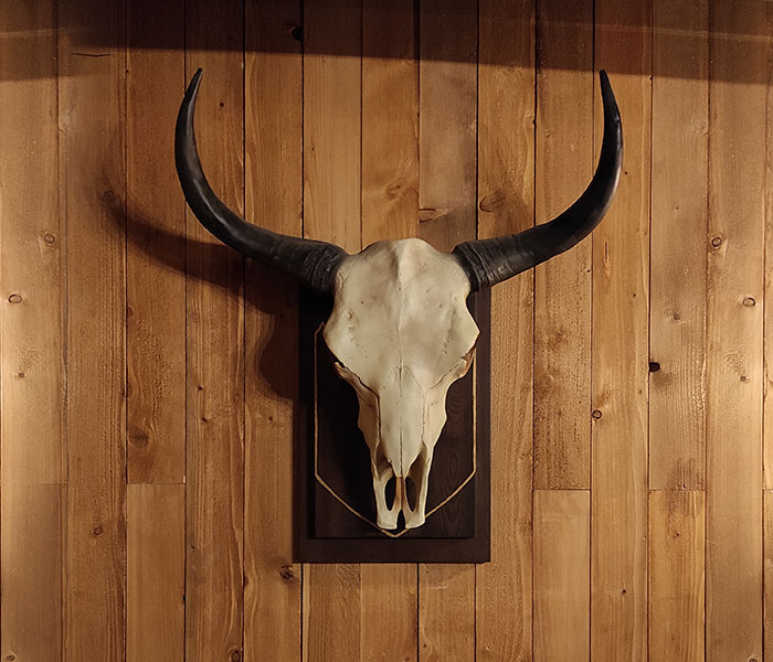 Wild West Saloon image